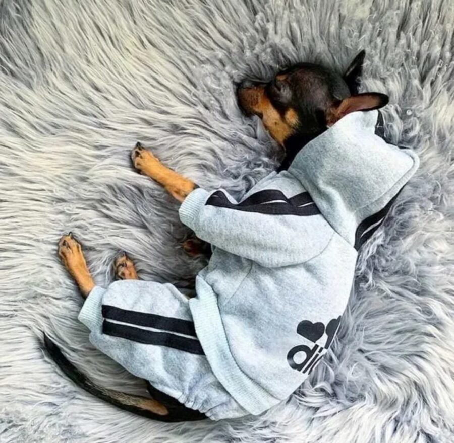 Adidog Clothes Dog Jumpsuit Warm Puppy Pet Clothes For Dog Hoodies Sweatshirt Yorkie French Bulldog Clothing For Dog Coat Jacket - Image 3